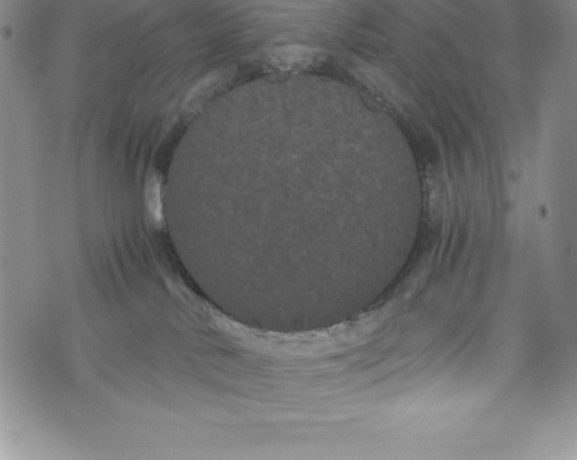 X0000072500042200608041452