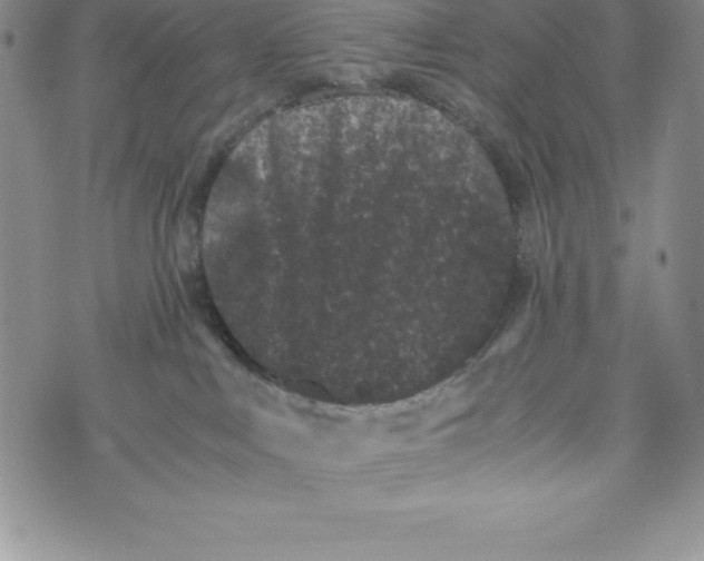 X0000072500043200608041452