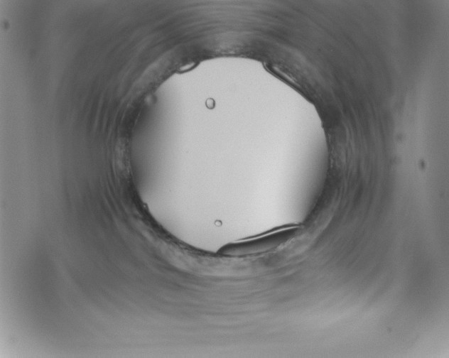 X0000072500044200608041452