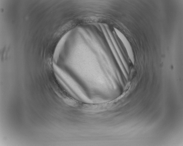 X0000072500045200608041452