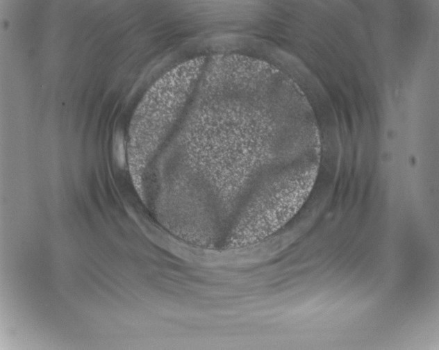 X0000072500046200608041452