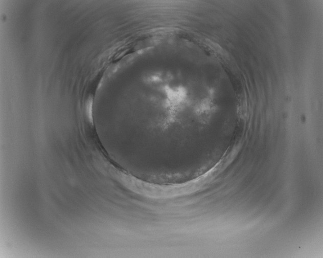 X0000072500047200608041452