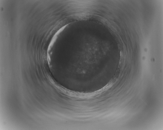 X0000072500048200608041452