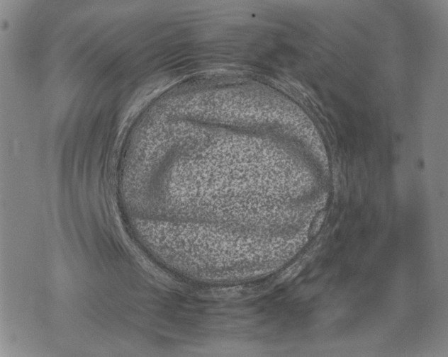 X0000072500049200608041451