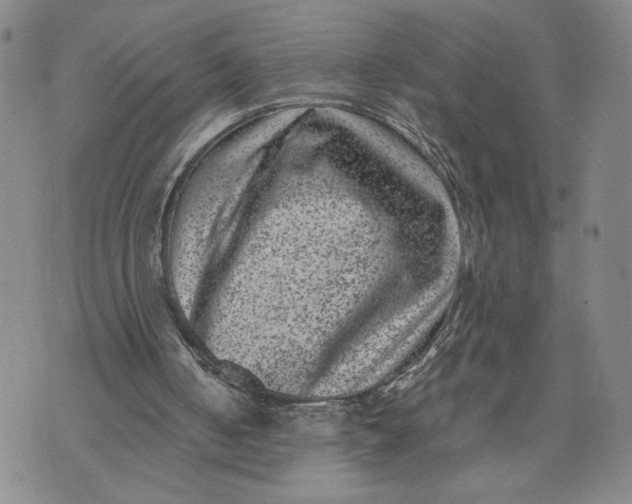 X0000072500050200608041451