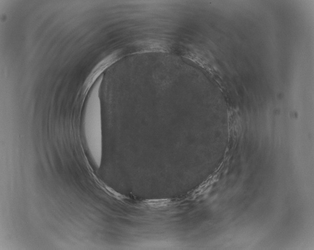 X0000072500051200608041451