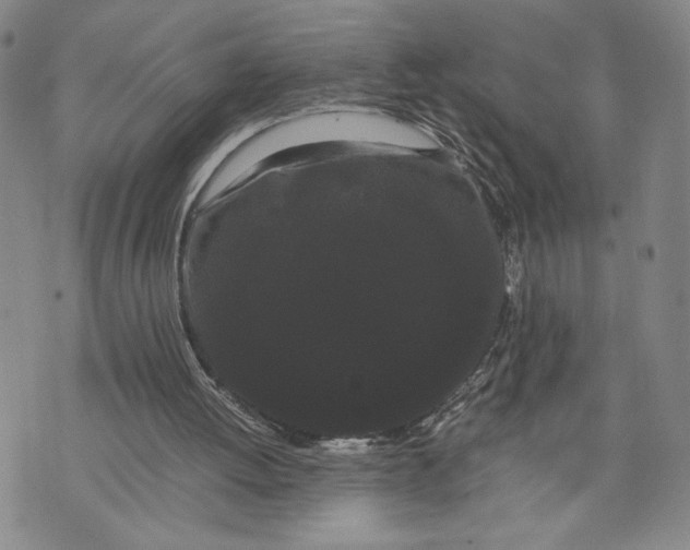 X0000072500052200608041451