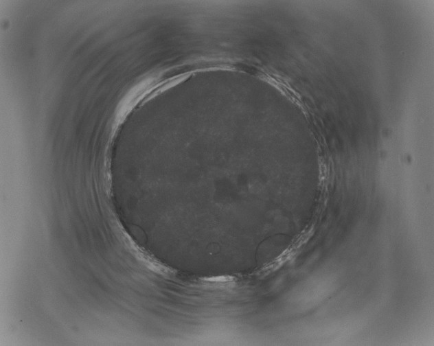 X0000072500053200608041451