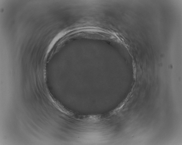 X0000072500056200608041451