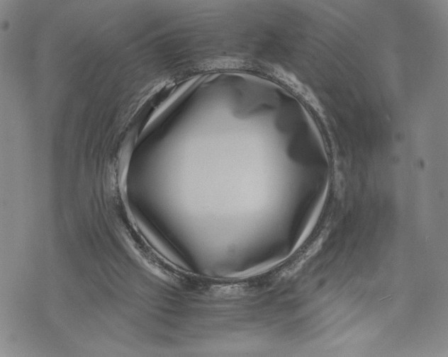 X0000072500057200608041451