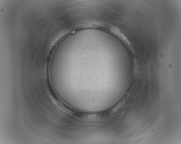 X0000072500058200608041451