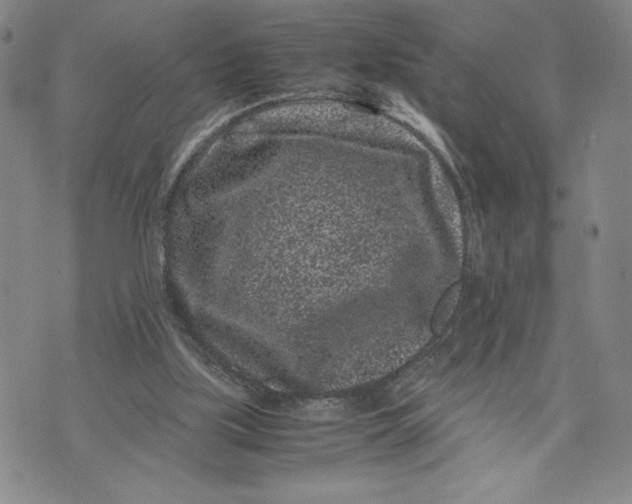 X0000072500059200608041451