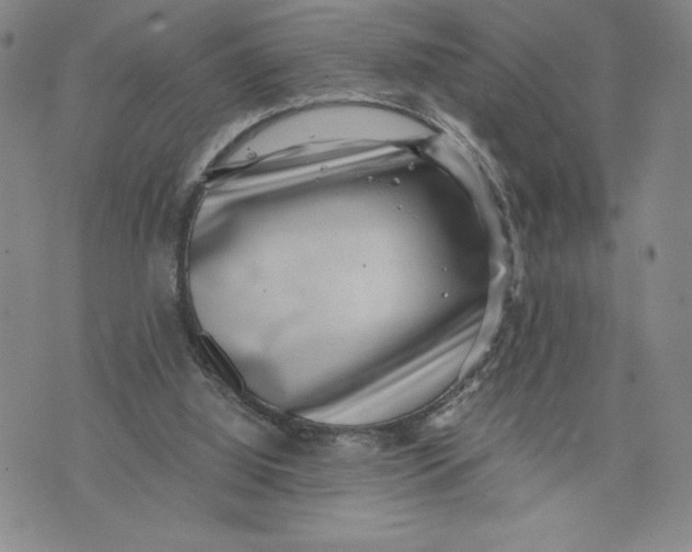 X0000072500060200608041451