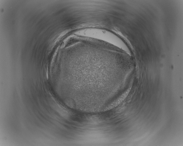 X0000072500062200608041451