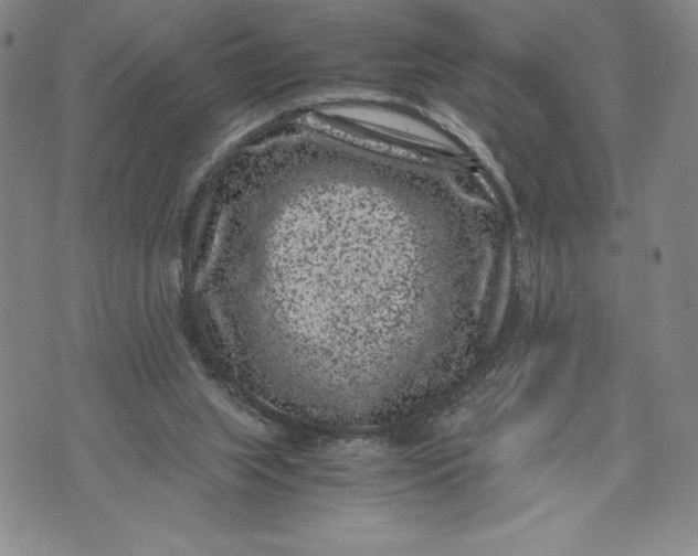 X0000072500063200608041451