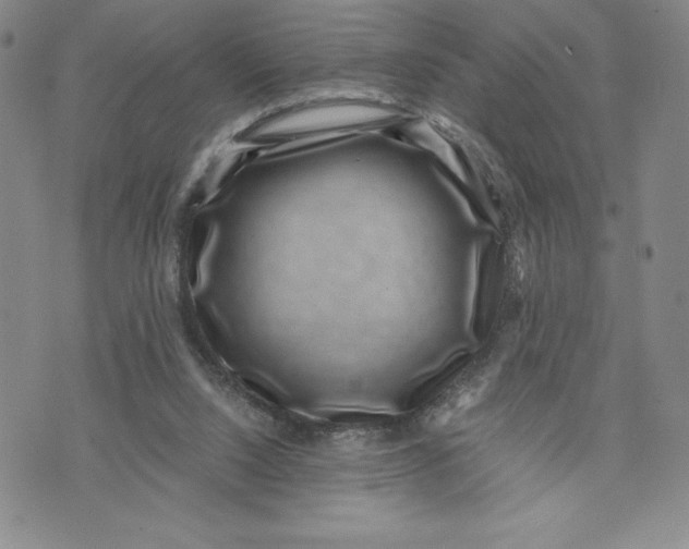 X0000072500064200608041452