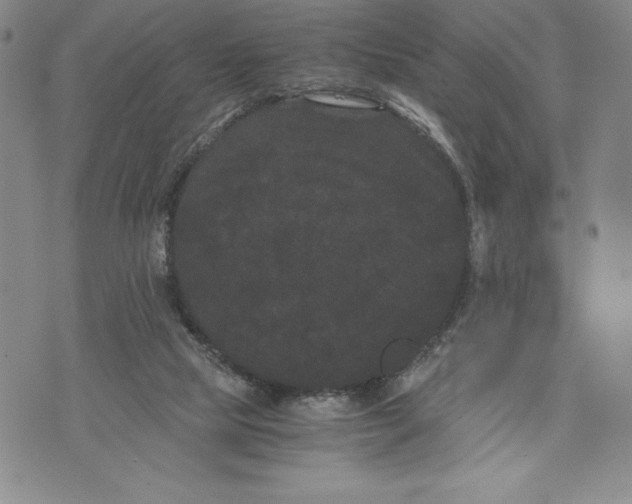 X0000072500065200608041452