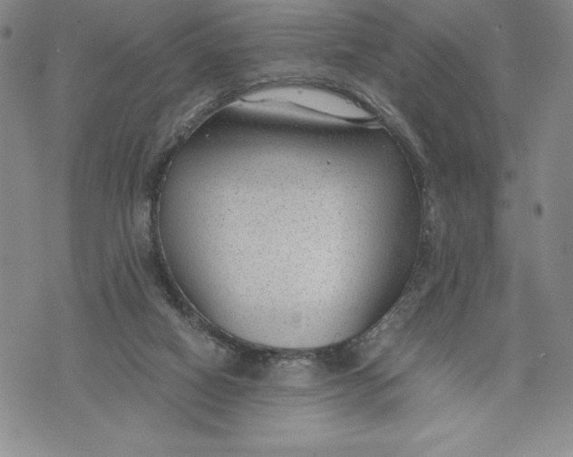 X0000072500066200608041452