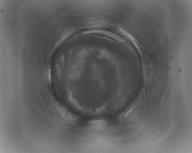 X0000072500067200608041452