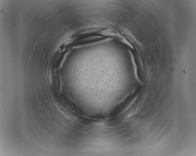 X0000072500068200608041452