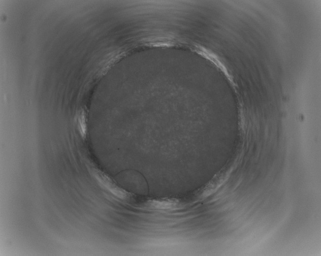 X0000072500069200608041452