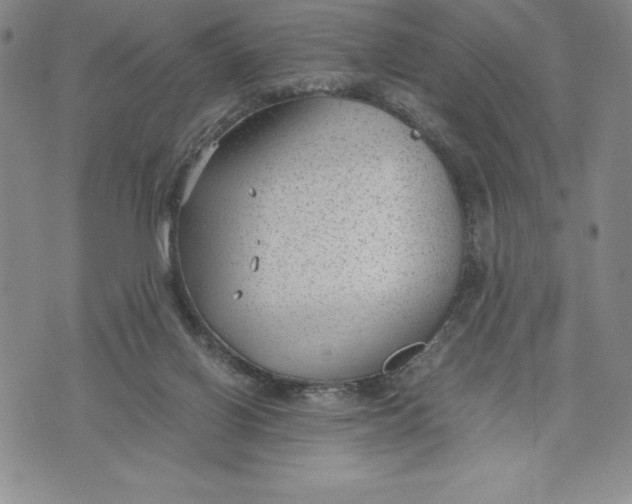 X0000072500070200608041452