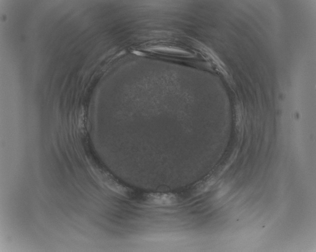 X0000072500073200608041452