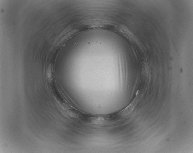 X0000072500074200608041452