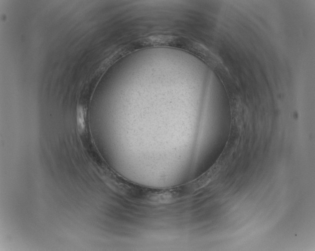 X0000072500075200608041452