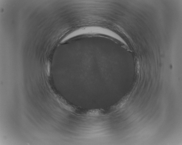 X0000072500076200608041452