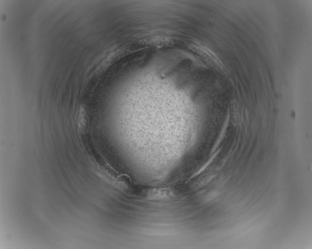 X0000072500077200608041452