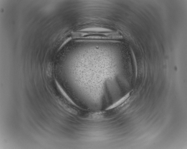 X0000072500078200608041452