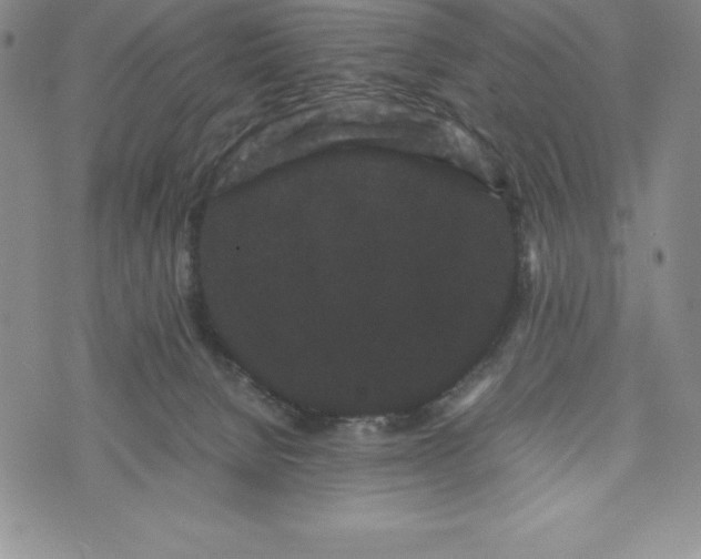 X0000072500080200608041452