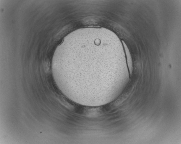 X0000072500081200608041452