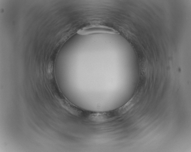 X0000072500082200608041452