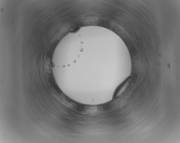 X0000072500083200608041452