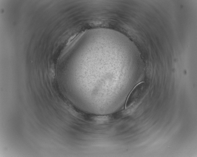 X0000072500085200608041452