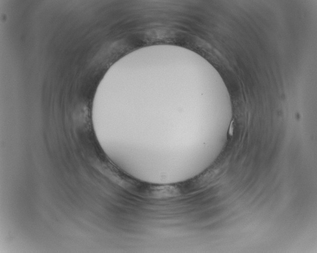 X0000072500087200608041452