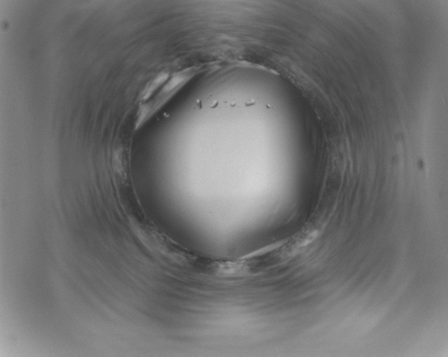 X0000072500088200608041452