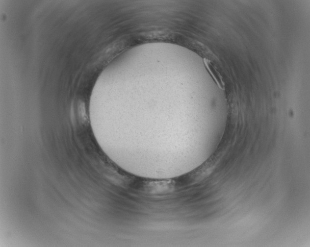 X0000072500089200608041452