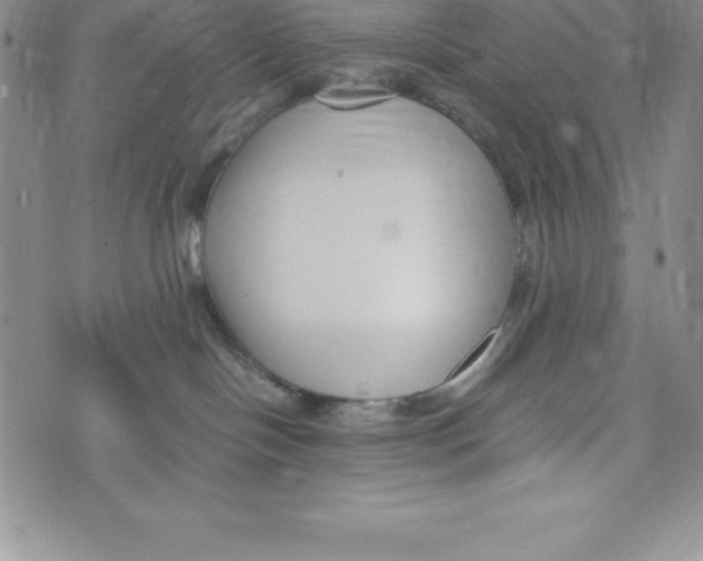 X0000072500094200608041452