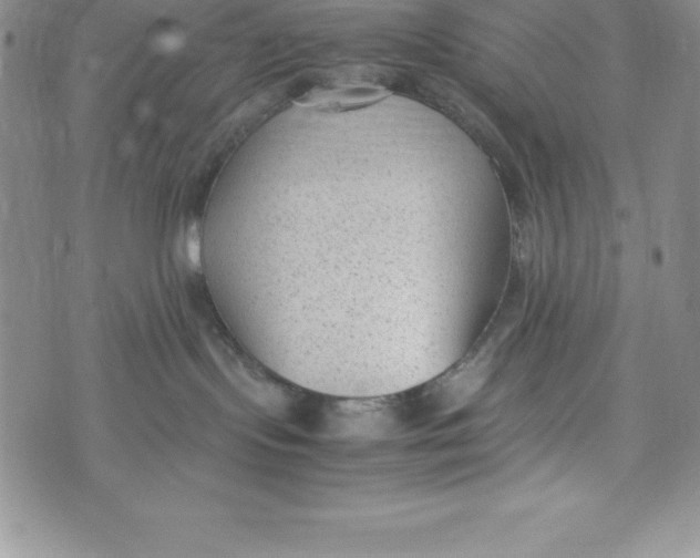 X0000072500095200608041452