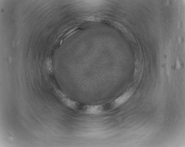 X0000072500096200608041452