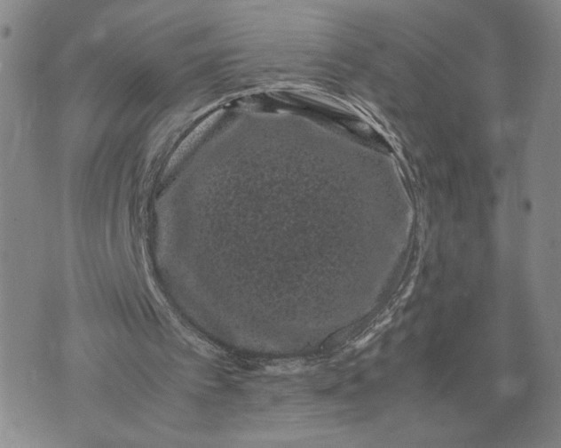 X0000072500097200608041451