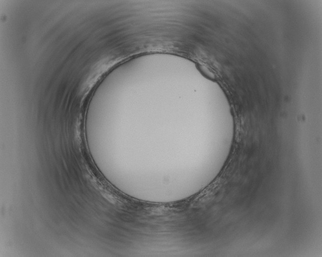 X0000072500098200608041451