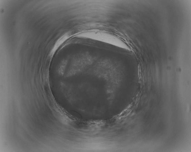 X0000072500099200608041451