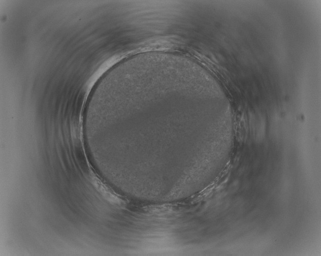 X0000072500100200608041451