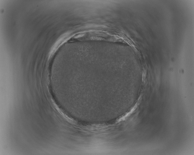 X0000072500101200608041451