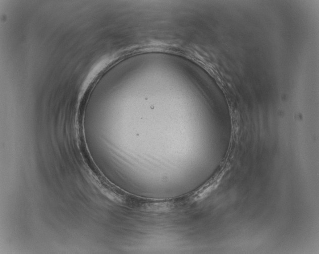 X0000072500102200608041451