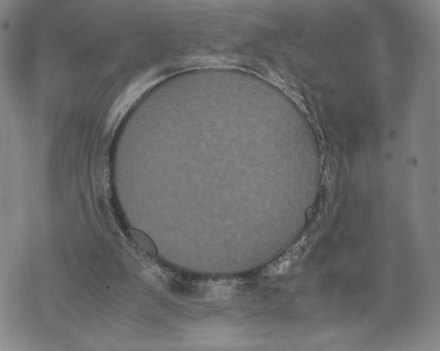 X0000072500103200608041451